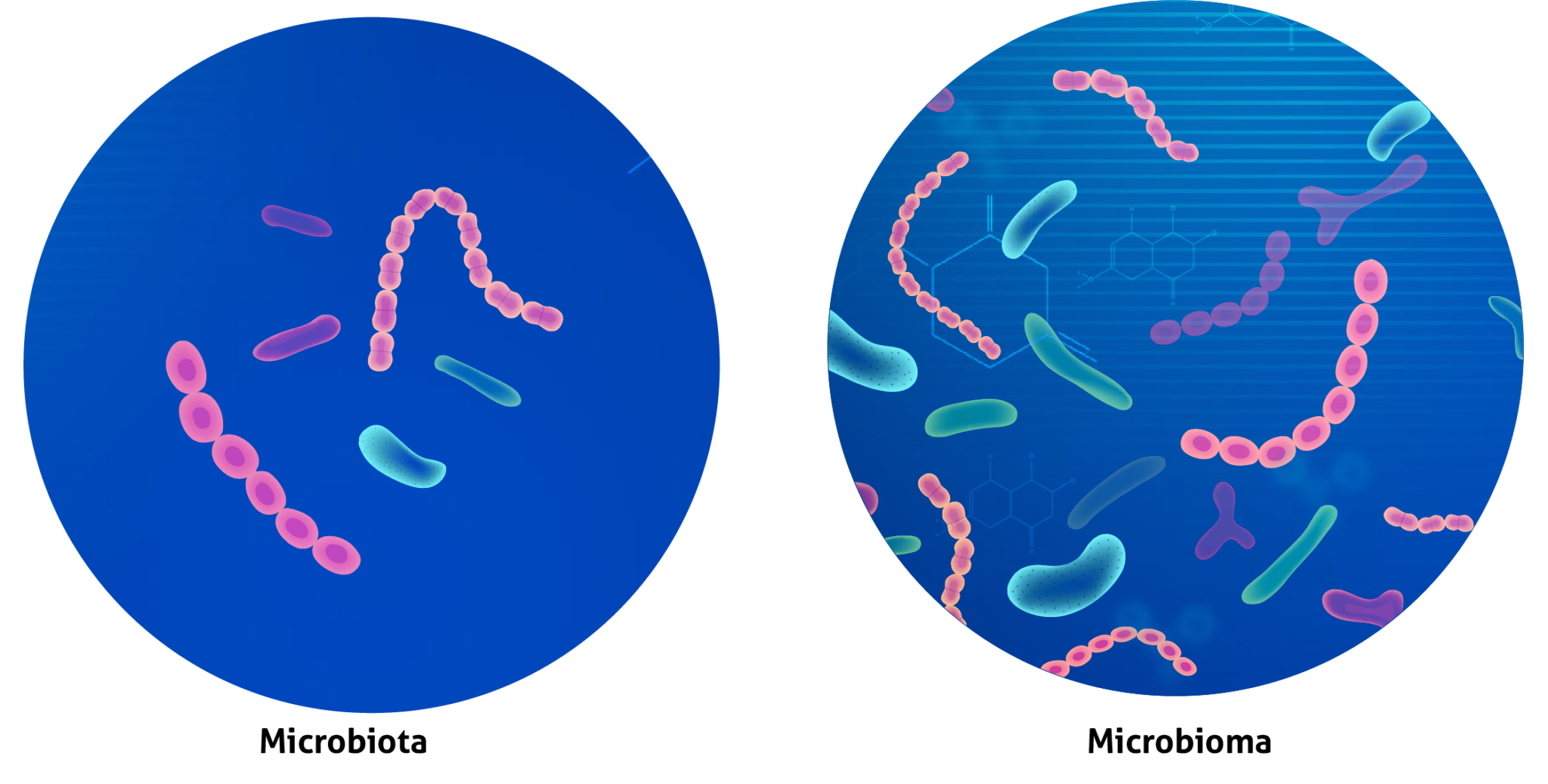 Sabes La Diferencia Entre Microbiota Y Microbioma Bialtec