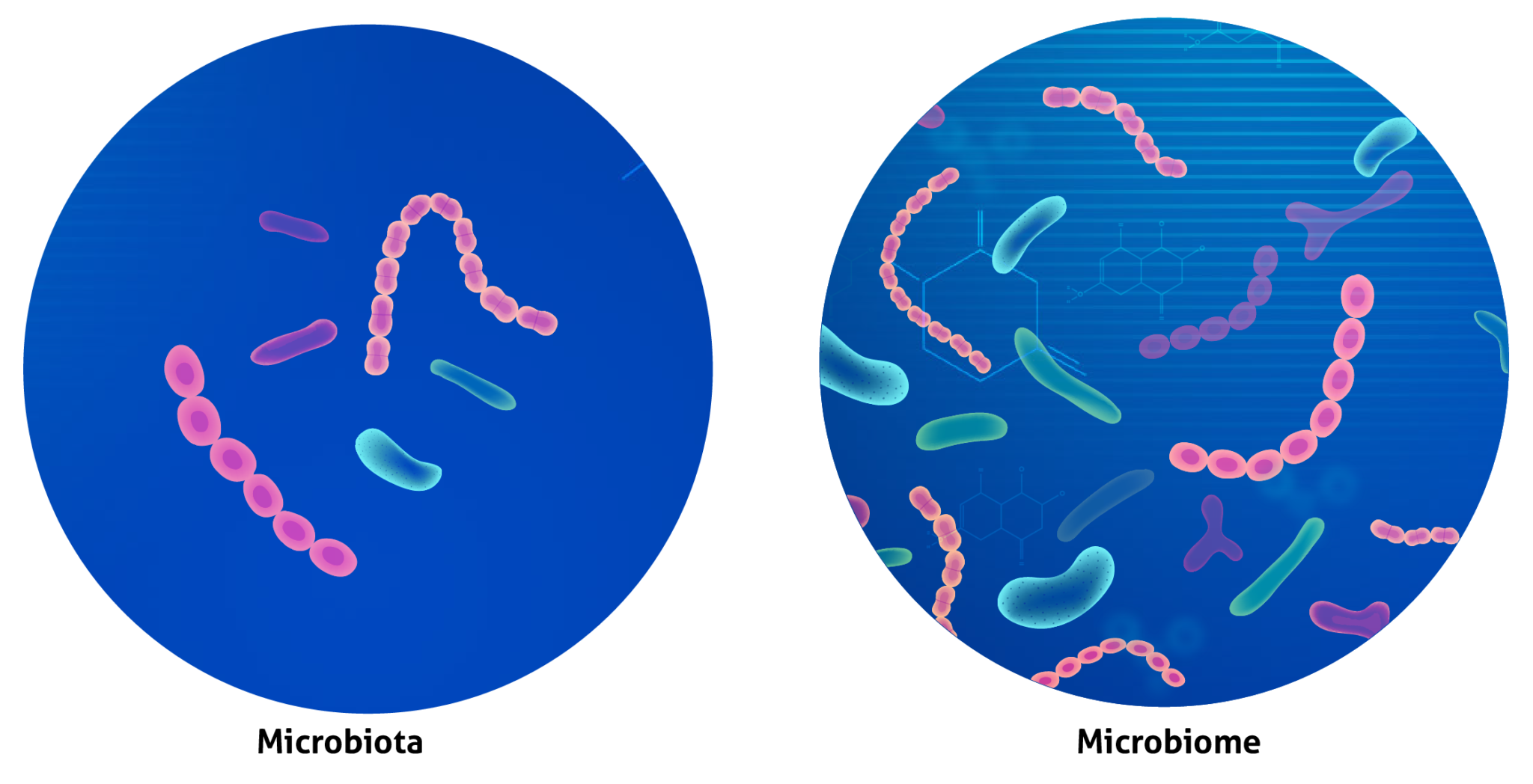 Do you know the difference between microbiota and microbiome? Bialtec
